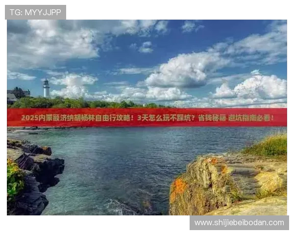 玩球能赚钱吗 彩票数字高频玩法防骗避坑指南